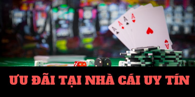 Cuộc sống của người dịu dàng Cuộc sống của người dịu dàng